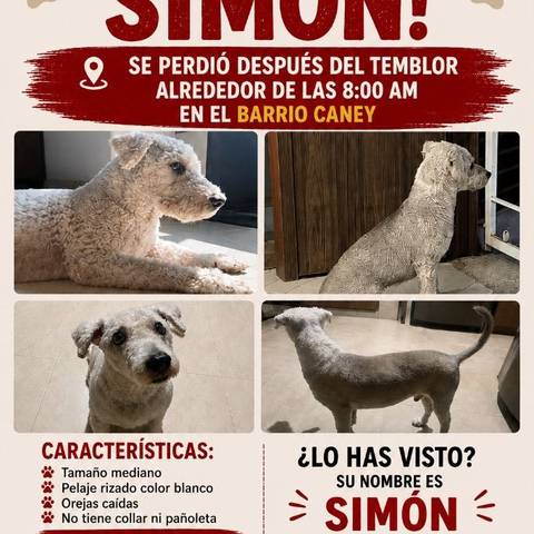 Foto del reporte de Simón