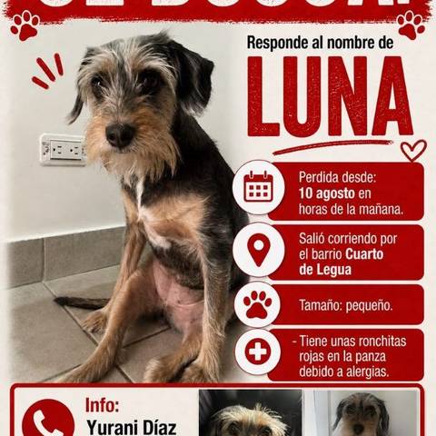 Foto del reporte de Luna