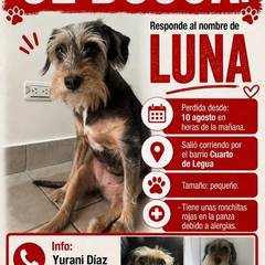 Foto del reporte de Luna