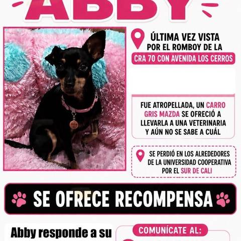 Foto del reporte de Abby
