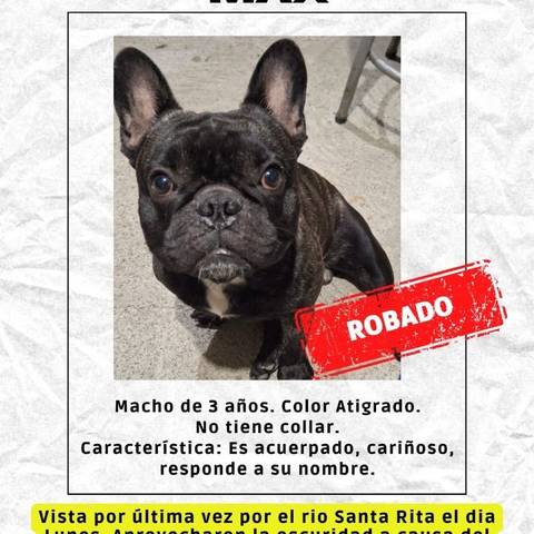 Foto del reporte de Max